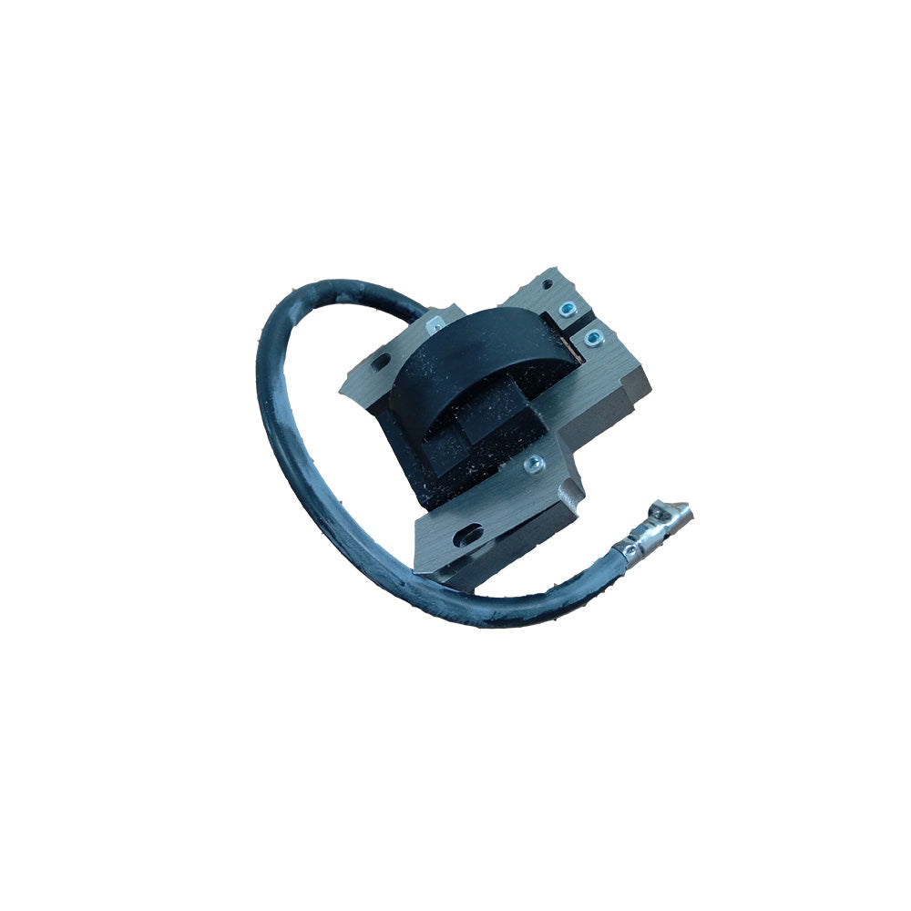 Solid State Module Fits Briggs and Stratton 398593 496914 591420 792395 793281+