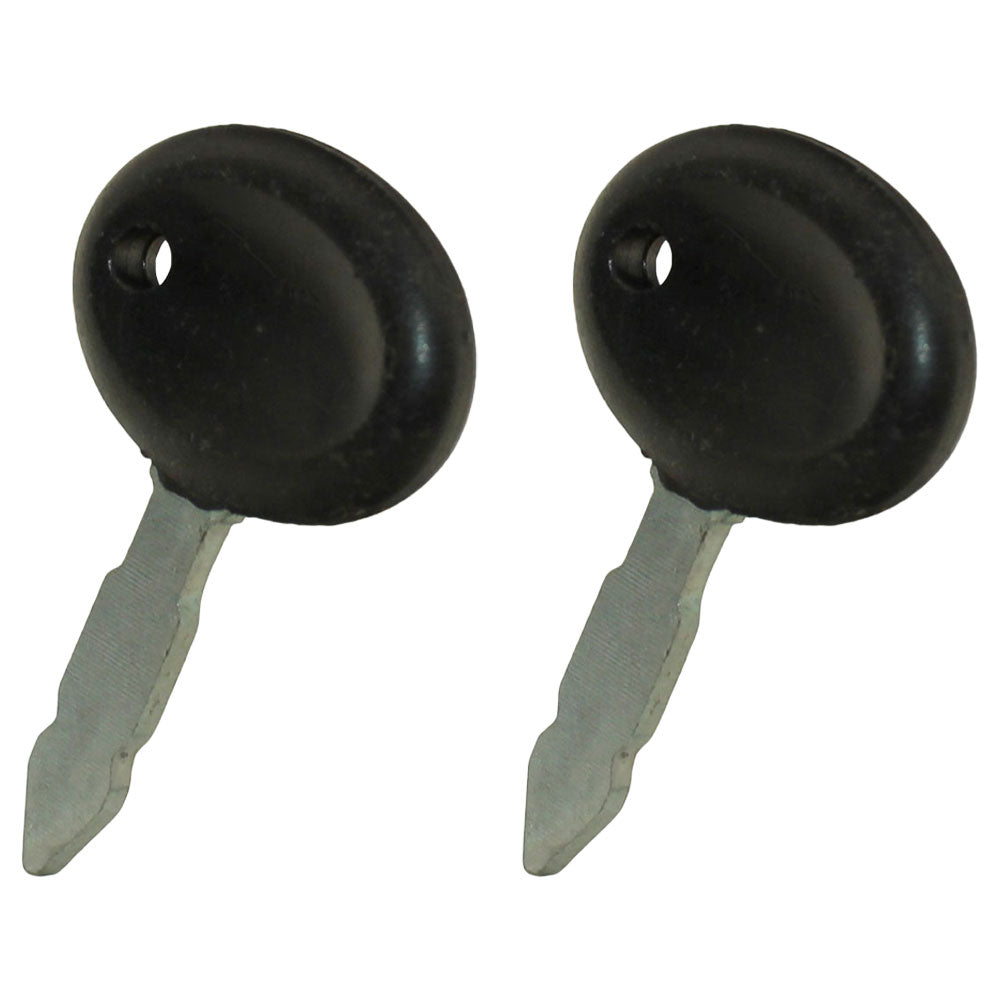 Qty 2: Ignition Key(s) Fits Massey Ferguson Replaces 1695447M1