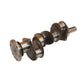 3cyl Crankshaft w/o Bearings Fits Massey Ferguson Models
