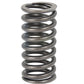 Valve Spring Fits Massey Ferguson Replaces 021176A
