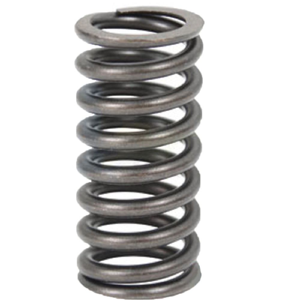 Valve Spring Fits Massey Ferguson Replaces 021176A