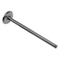 INTAKE VALVE BD144 BD154 B250 B275 B276, B414, 354 364 384 424 444 2424 2444