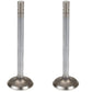 676865C2 EXHAUST VALVE Fits International DT466 (Set of 2)