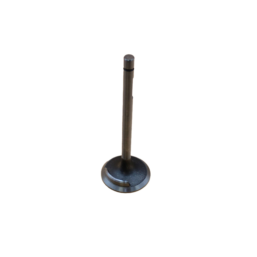 Intake Valve Fits Fiat Replaces 04802200