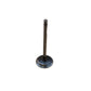 Intake Valve Fits White Oliver Replaces 30-3043223