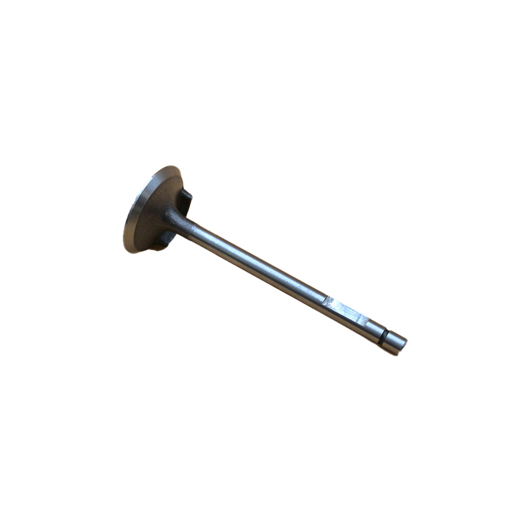 Intake Valve Fits Fiat Replaces 04802200