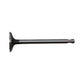Exhaust Valve Fits Fiat Replaces ENL80-0029
