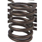 1W4259 New Valve Spring Fits Caterpillar Industrial Construction Models