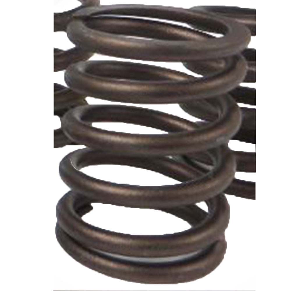 2418385 Outer Valve Spring Fits Caterpillar Industrial Construction Model