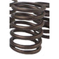 2S4213 Valve Spring Fits Caterpillar Fits CAT Industrial Models D343 3116 3126B