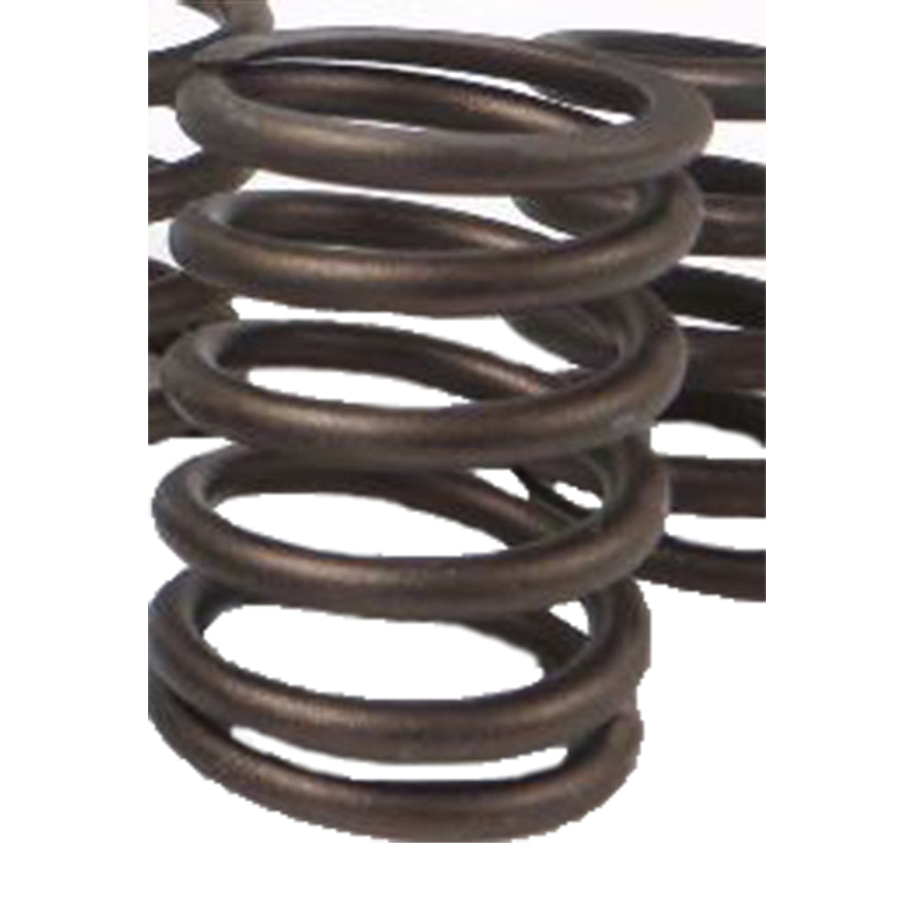 2S4213 Valve Spring Fits Caterpillar Fits CAT Industrial Models D343 3116 3126B