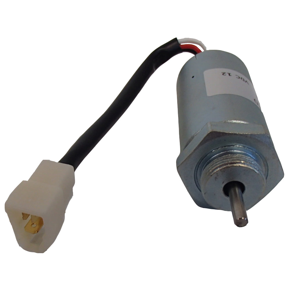 キャミー 新色追加】アソートレース付きキャミ|ems excite | RETRO GIRL