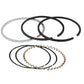 Piston Ring Set Fits Massey Ferguson Replaces 836100M1