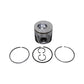 700009000, 8417720, 2859355 Pistons and Rings Fits Ford Fits New Holland