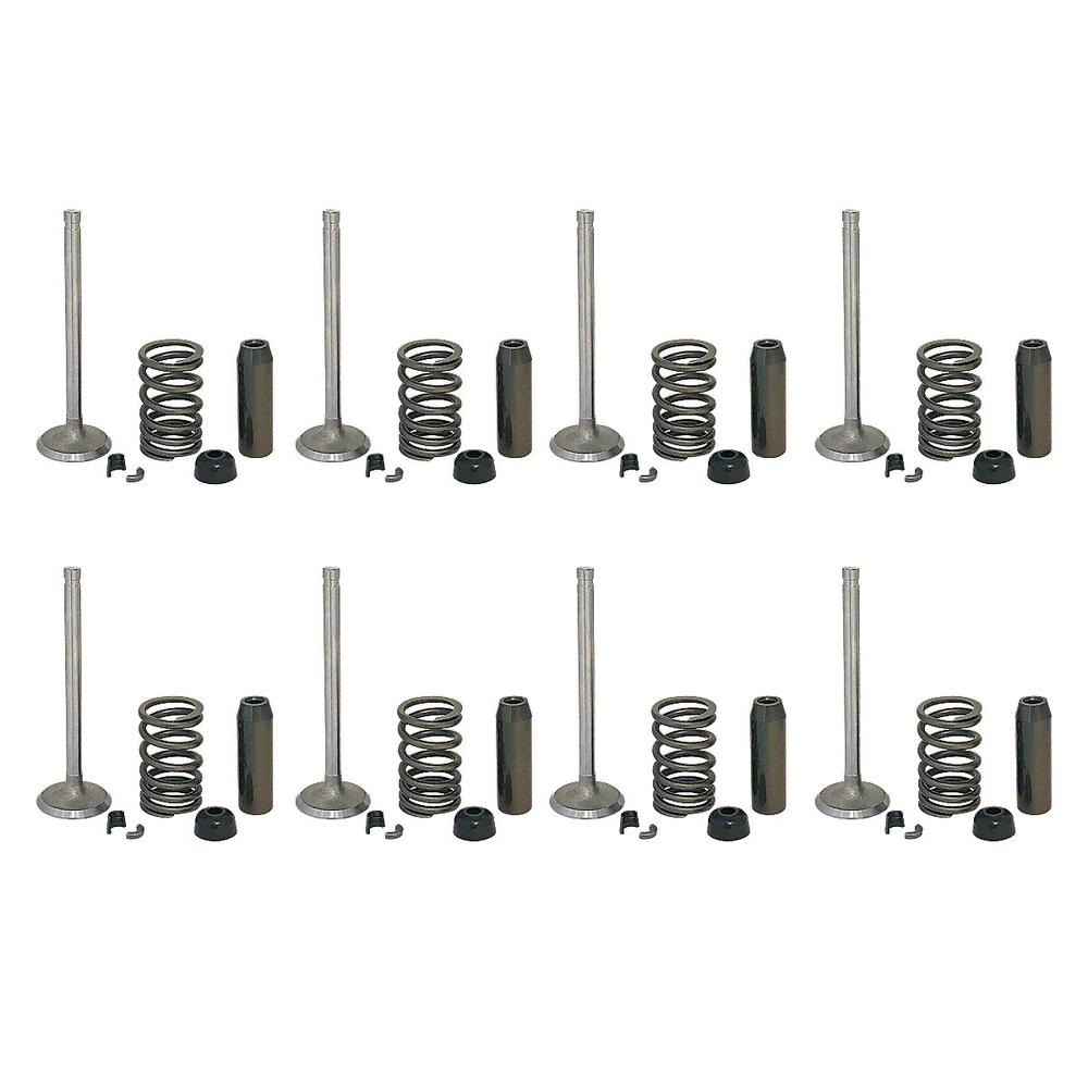 FDS464 Valve Train Kit (New Valves, Seals, Springs & Locks) Fits Ford