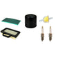 Filters w/ Spark Plugs Fits Husqvarna Replaces 531307044