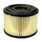 Fits Briggs and Stratton AIR FILTER 390492