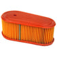 Fits Briggs and Stratton 795066 Air Filter