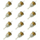 PM244 Qty. 12 Fuel Filters Fits Bunton