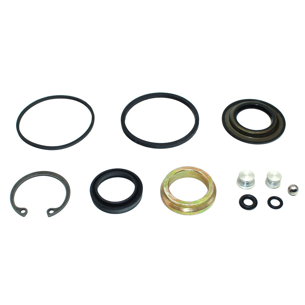 Steering Hand Pump Seal Kit Fits International 123465C1