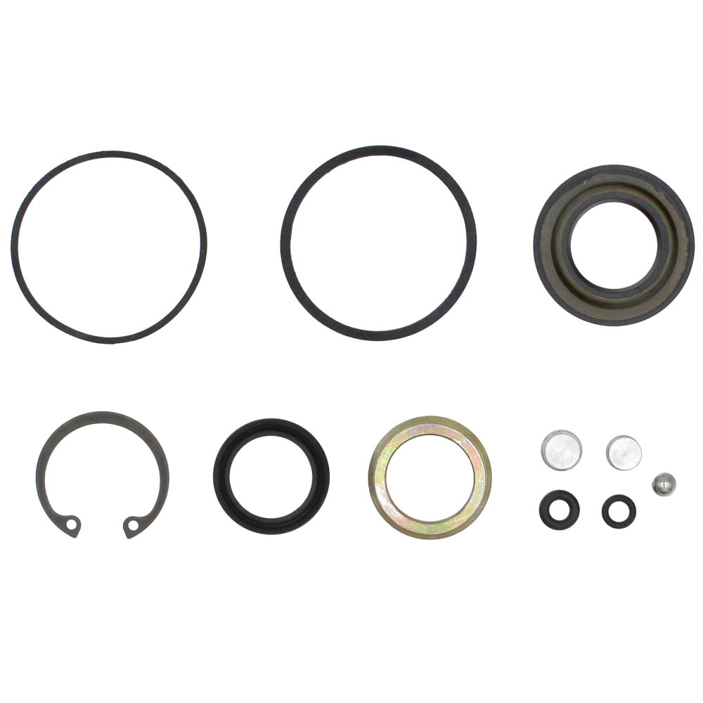 Steering Hand Pump Seal Kit Fits International 123465C1