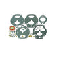 Zenith Carburetor Rebuild Kit K2183