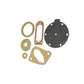 IHS854 Fuel Pump Repair Kit, Complete - Fits International