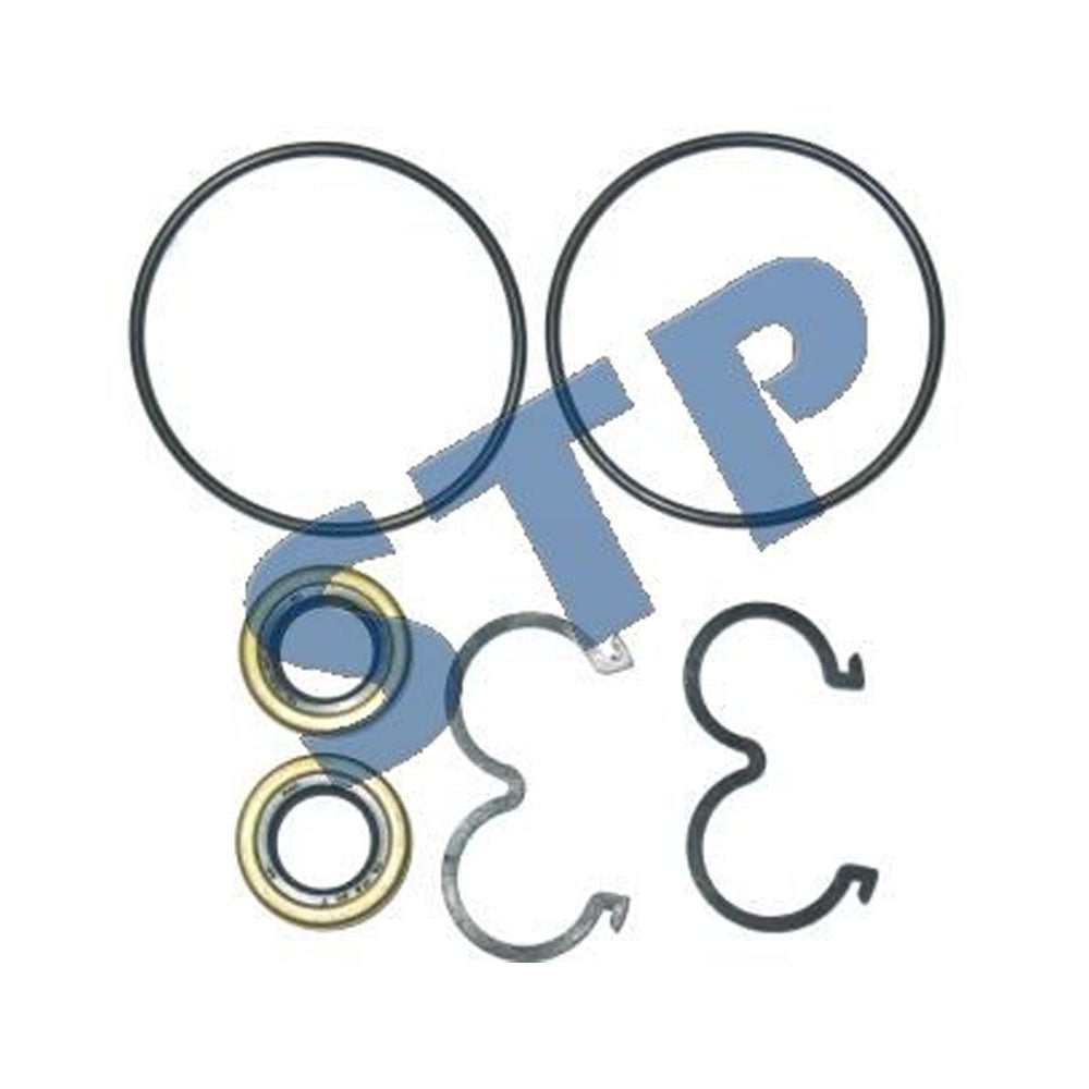 FT-FT-828/827-SE Seal Kit for Pumps for Fiat (Sonic Pumps Only)