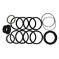 G105513 Tilt Dipper Arm Boom Stabilizer Cylinder Seal Kit Fits Case W24 W24B