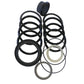 G105513 Tilt Dipper Arm Boom Stabilizer Cylinder Seal Kit Fits Case W24 W24B