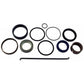 HH194254 Dana/Spicer Complete Steering Cylinder Seal Kit, MFD Fits Case IH