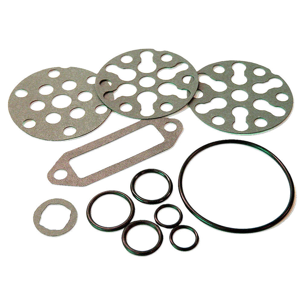 FDS438 Piston Pump O-Ring and Gasket Kit - Fits Ford Jubilee, NAA, 501, 541, 600