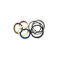 AW21171 Lift Hydraulic Cylinder Seal Kit Fits John Deere 260 Loader