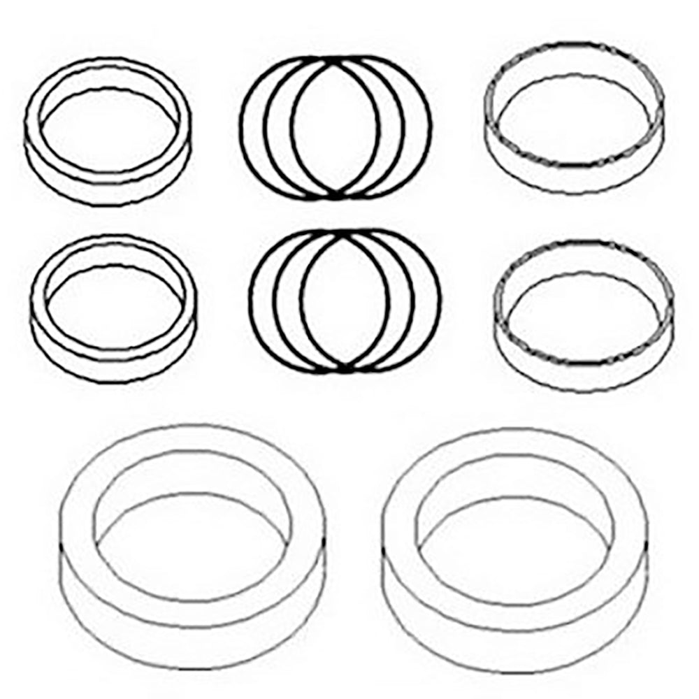 835833M92 Hydraulic Cylinder Seal Kit Fits Massey Ferguson Loader Lift