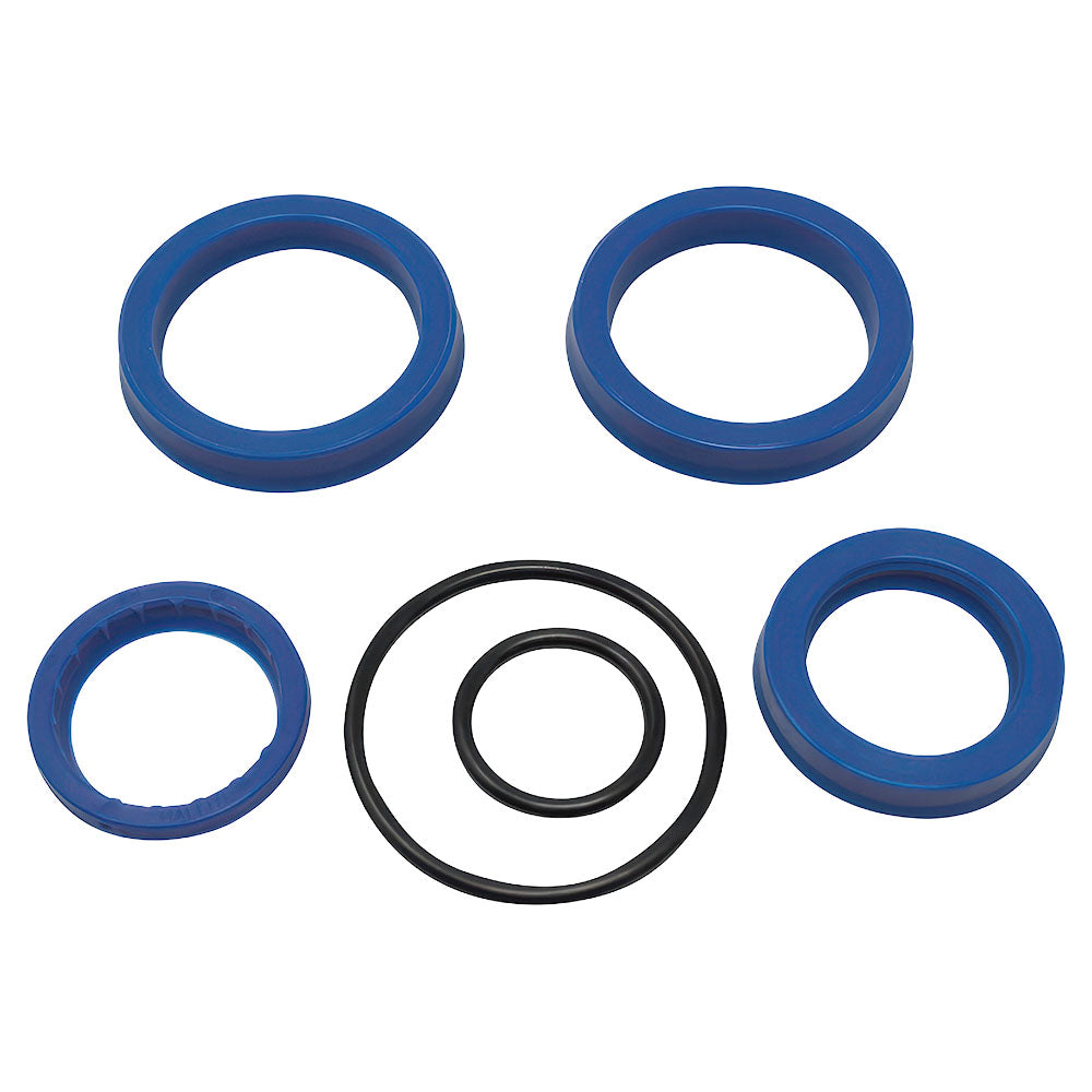 25163 Bucket Hydraulic Cylinder Seal Kit for Dual 110 Loader