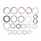 8036295 Seal Kit Fits JLG 3.000X5.000