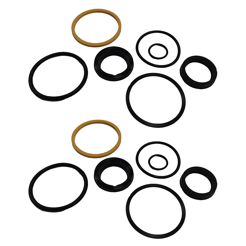 Qty 2: Cylinder Seal Kit Fits Ford/New Holland Replaces 6661288