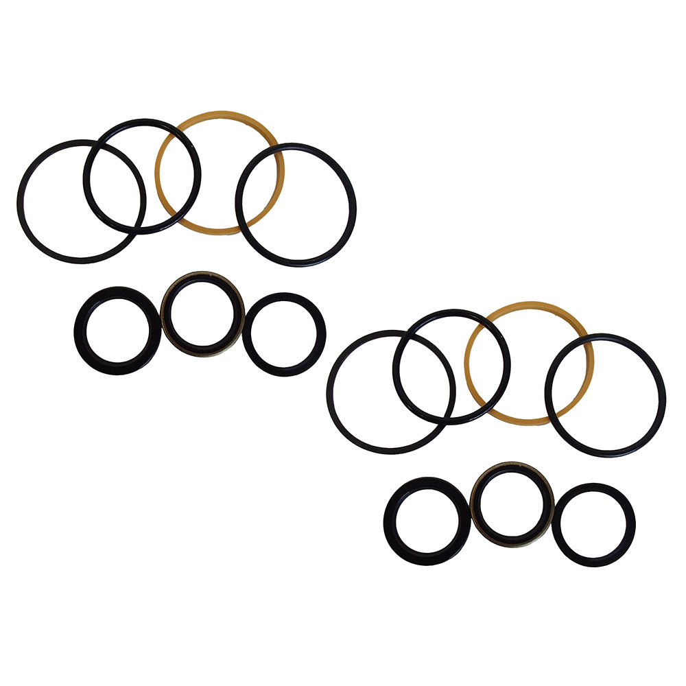 2 L-225 L-325 L-425 L-445 TWO Bucket CYLINDER SEAL KITS Fits New Holland 272769