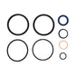 355909 Hydraulic Cylinder Seal Kit Fits Hyster Forklifts