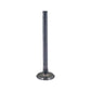 IHS5316-STR Intake Valve Fits International A AV Super A Super A-1 Super AV