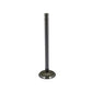 IHS5349-STR Intake Valve Fits International 400 W400 450 W450