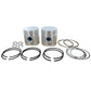 JDS3055 Rebore Kit (.045" overbore) Fits John Deere