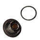 K262879 Thermostat & Gasket Fits David Brown