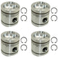 Qty 4: Piston Fits David Brown Replaces K206974