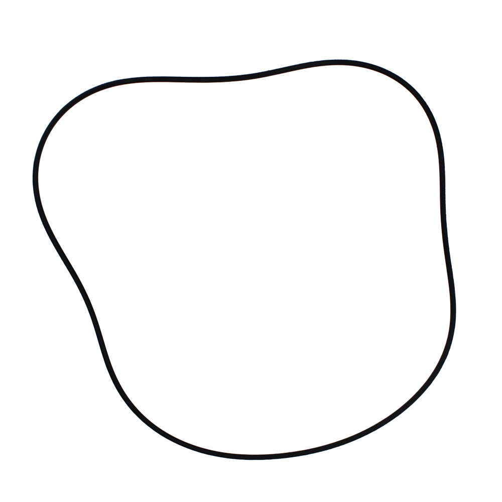 L56243 Inner O-Ring Seal Fits John Deere Tractor 3120 3030 3130 840 +