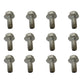 Qty 12: Thread Cutting Bolt Fits MTD Replaces 159830