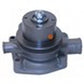 Water Pump w/ Pulley - Fits Massey Ferguson Replaces 3637372M91