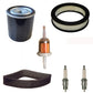Tune Up Service Kit 5205002S UR45 Fits Simplicity Sunstar Fits Kohler M18 M20
