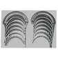 MS-1343P-010 Main Bearing Set Fits IH / Fits FARMALL