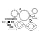 Basic Carburetor Kit Fits John Deere Replaces A572065